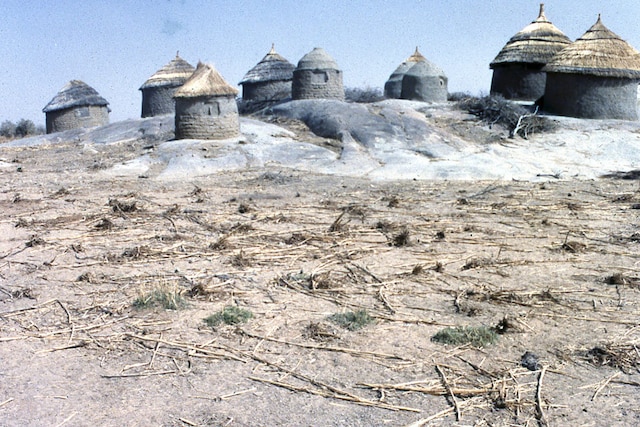 النيجر