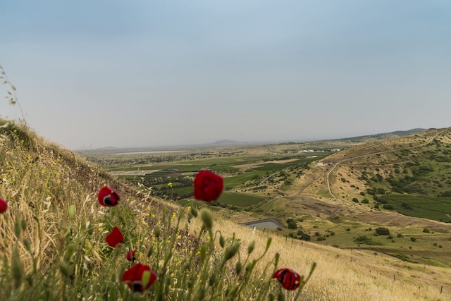 الجمهورية العربية السورية